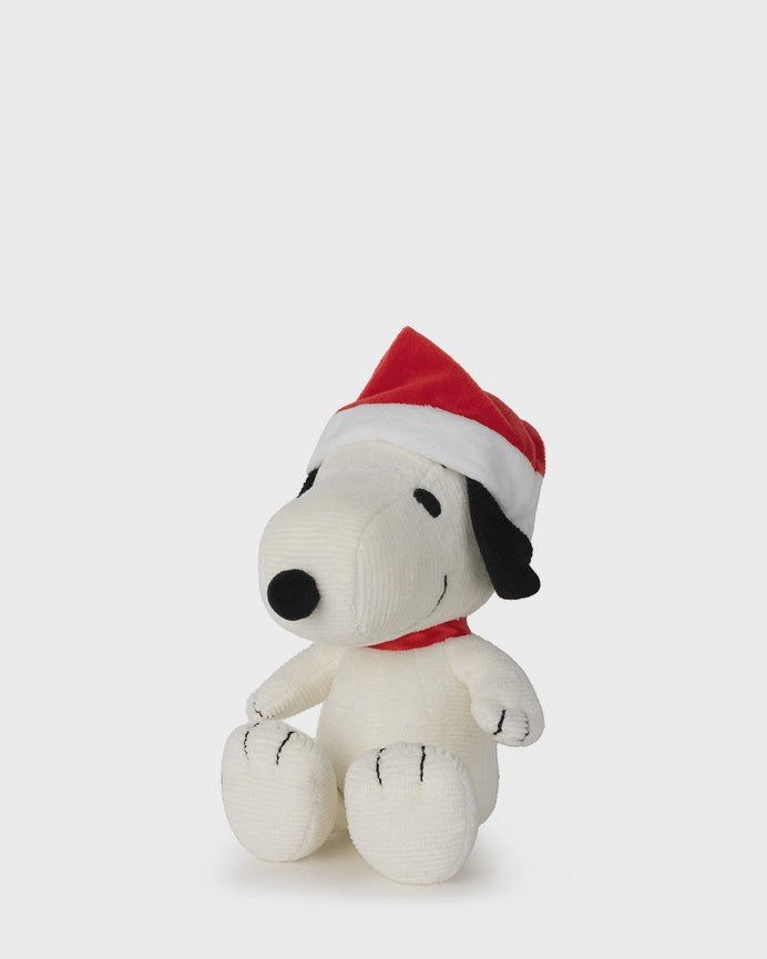 Santa Snoopy