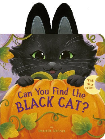Can You Find the Black Cat