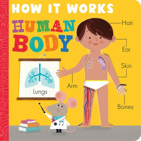 How it Words Human Body
