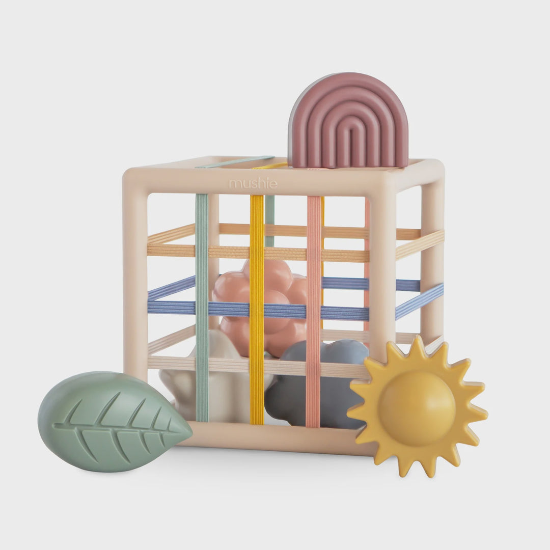 Elastic Shape Sorter