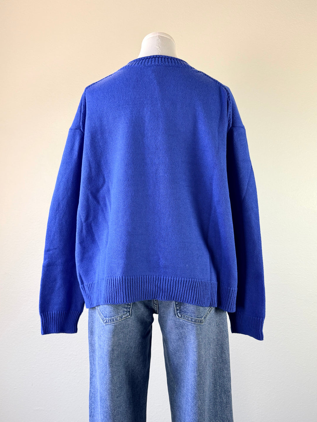 Sardine Oversized Sweater