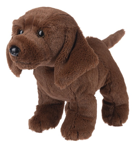Choc Lab Webkinz