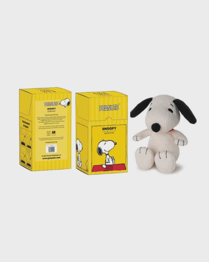Snoopy w Giftbox