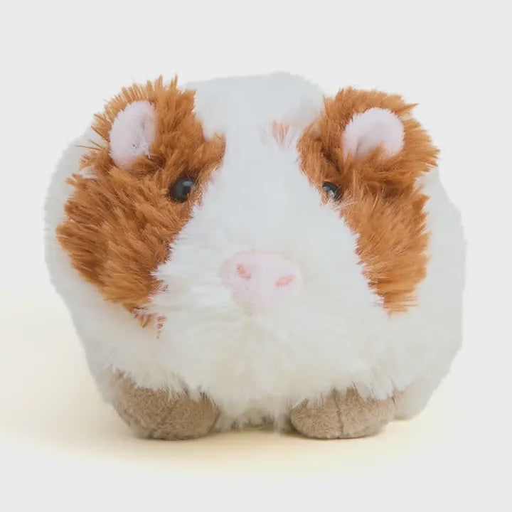 Guinea Pig Junior Warmie