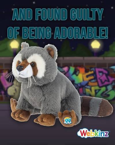 Raccoon Webkinz