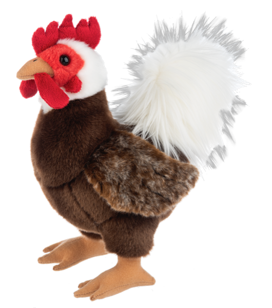 Bantam Cockerel