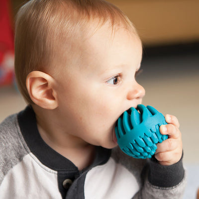 Fat Brain Toys Sensory Rollers